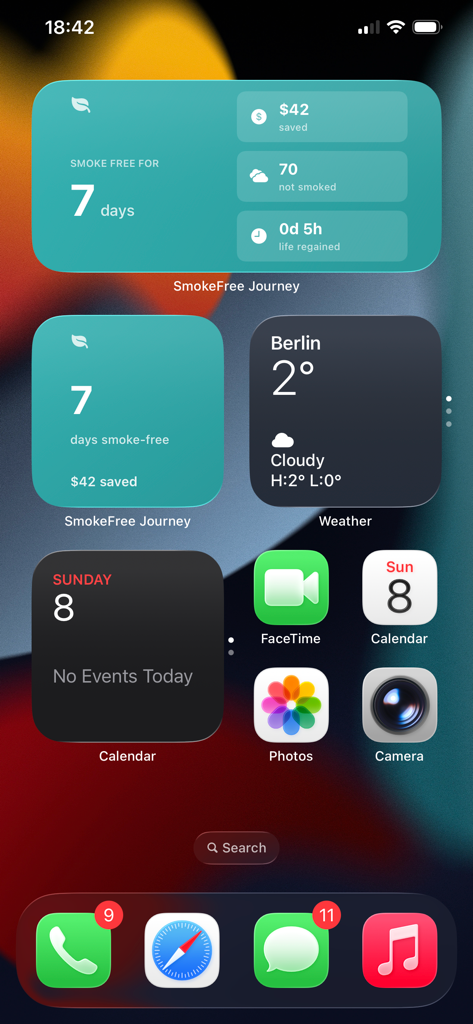 SmokeFree Journey widgets on an iPhone home screen displaying progress statistics