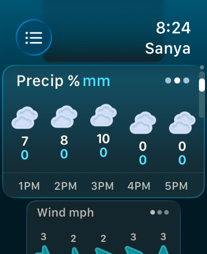 Weather mini for Watch - Weather mini interface showing hourly precipitation and wind speed forecast