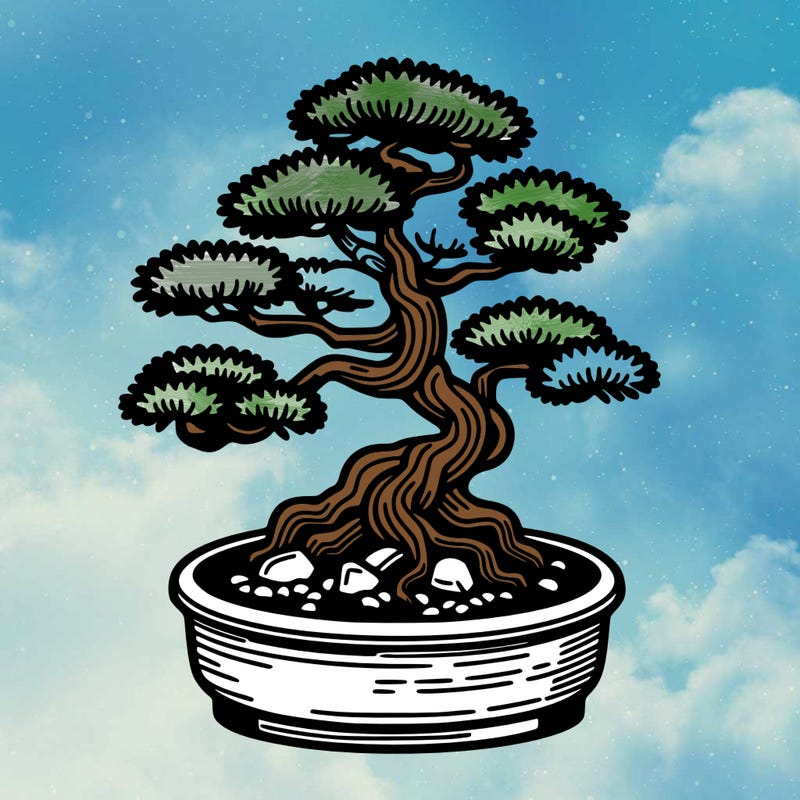 japan bonsai