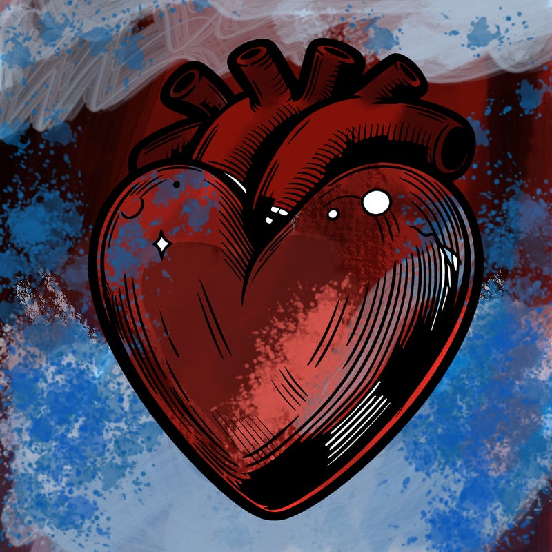 realistic heart