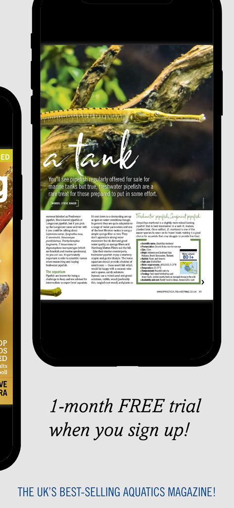 Practical Fishkeeping - Mobile app screenshot of Practical Fishkeeping magazine showing a detailed species guide for freshwater pipefish with technical care data.