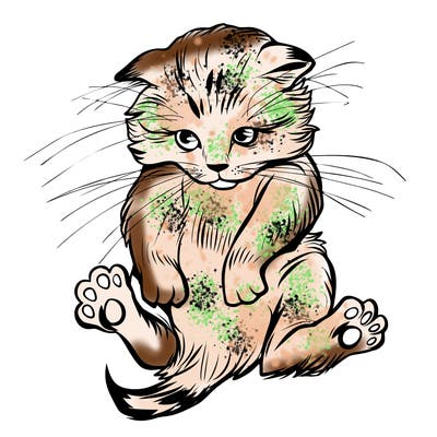 animals_20