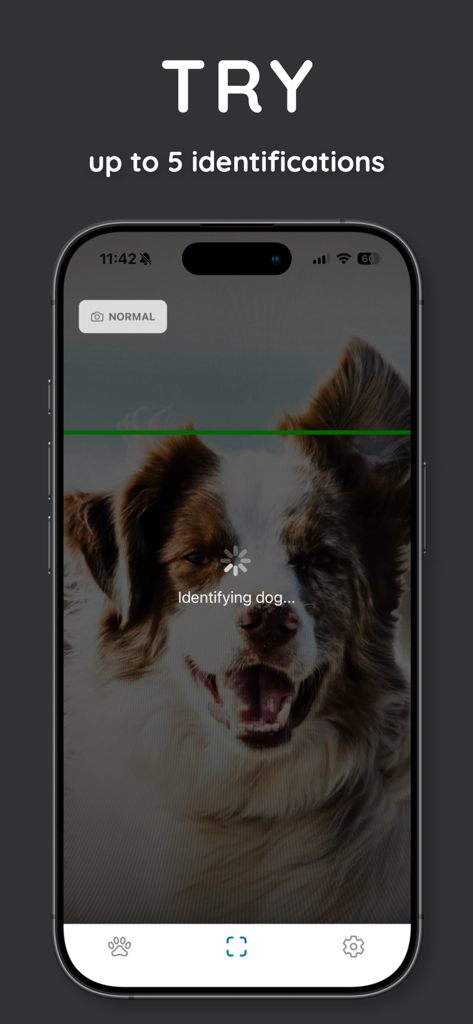DogScan - Identify Dog Breeds - DogScan app screen showing AI identifying a dog breed from a photo
