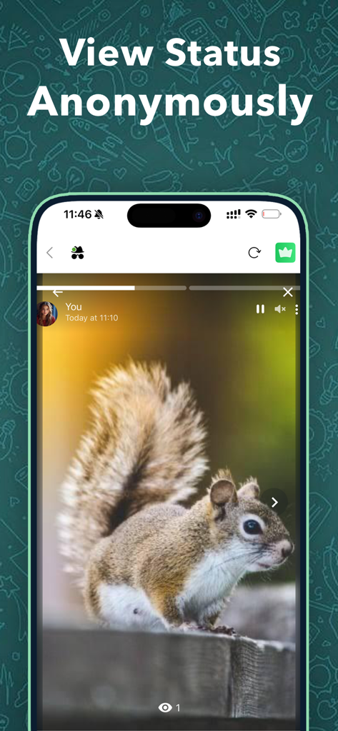 Dual Messenger for Web chat - Interface of the Dual Messenger app showing the View Status Anonymously feature on an iPhone screen.