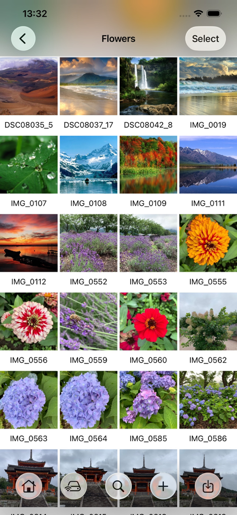 A grid of professional landscape and nature photos organized within a folder in the Photo Manager Pro app interface.