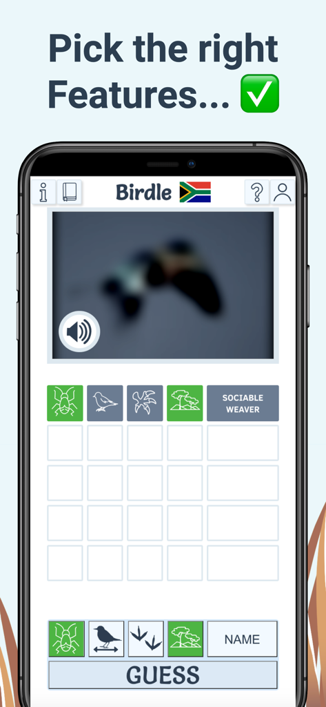 Smartphone screen showing the Birdle app gameplay with a bird image reveal challenge and feature guessing grid