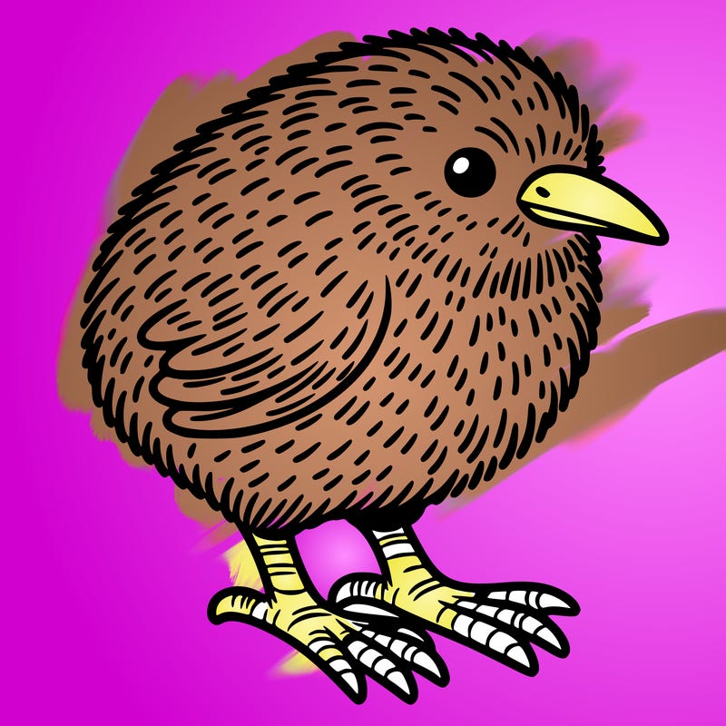 a kiwi bird
