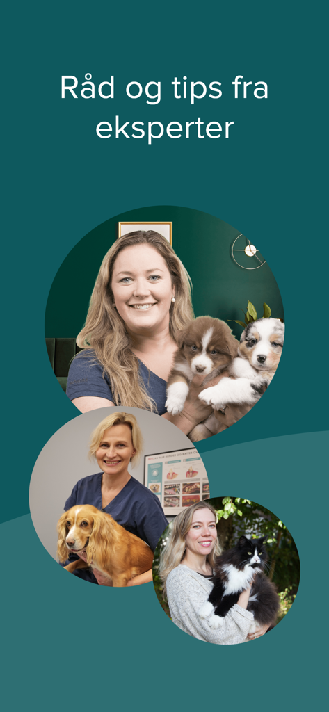 DyreID - Três imagens de especialistas veterinários e comportamentalistas com cães e um gato sob o título Aconselhamento e dicas de especialistas
