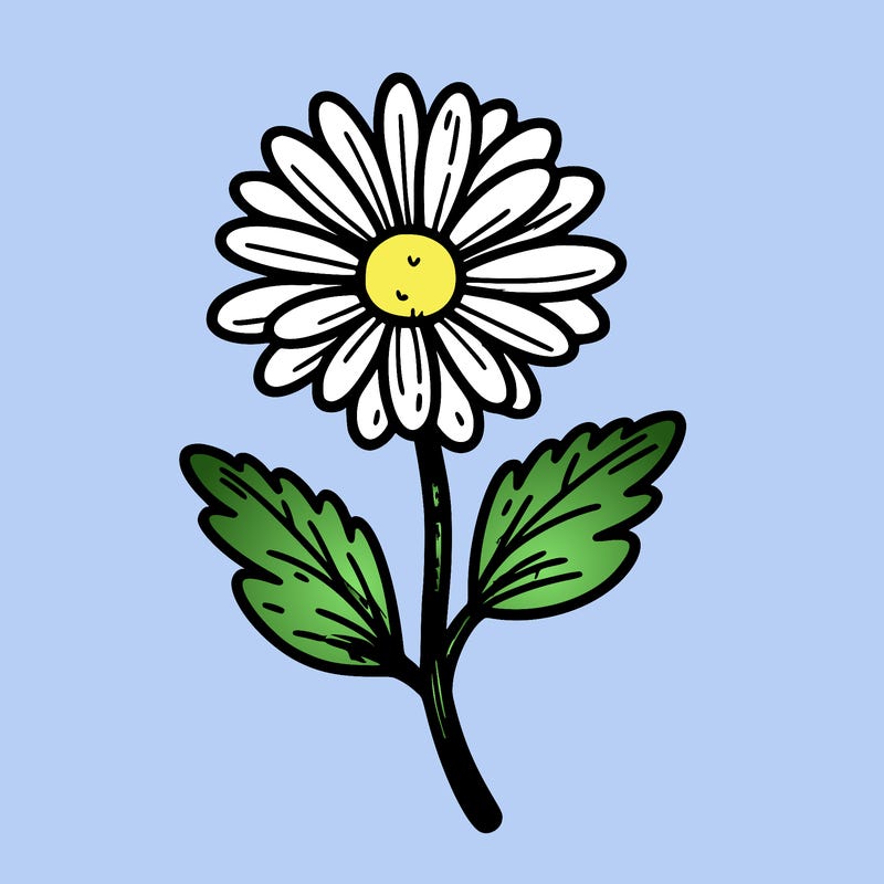 daisy