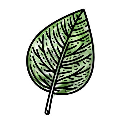 leaf