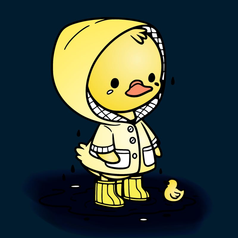 baby duck in a rain coat and boots, in a puddle while it’s raining