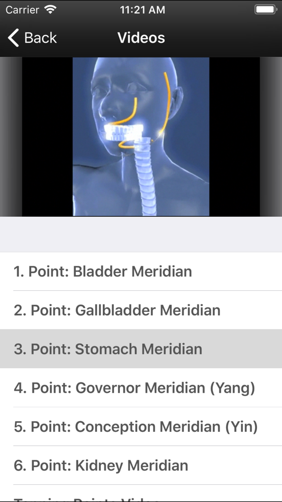 Pantalla de vídeo de la aplicación MET que muestra un diagrama anatómico de la cabeza y una lista de puntos de meridianos.