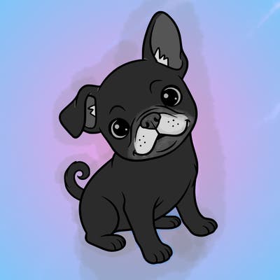 cute little dog 🐕