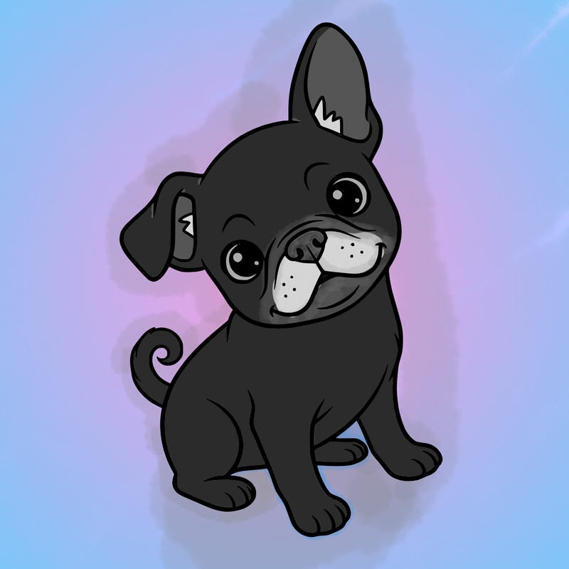 cute little dog 🐕