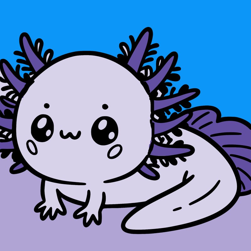 cute axolotl