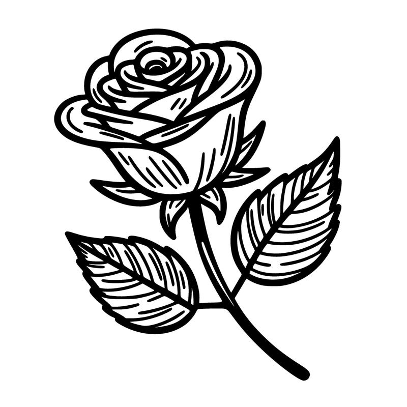 a single rose