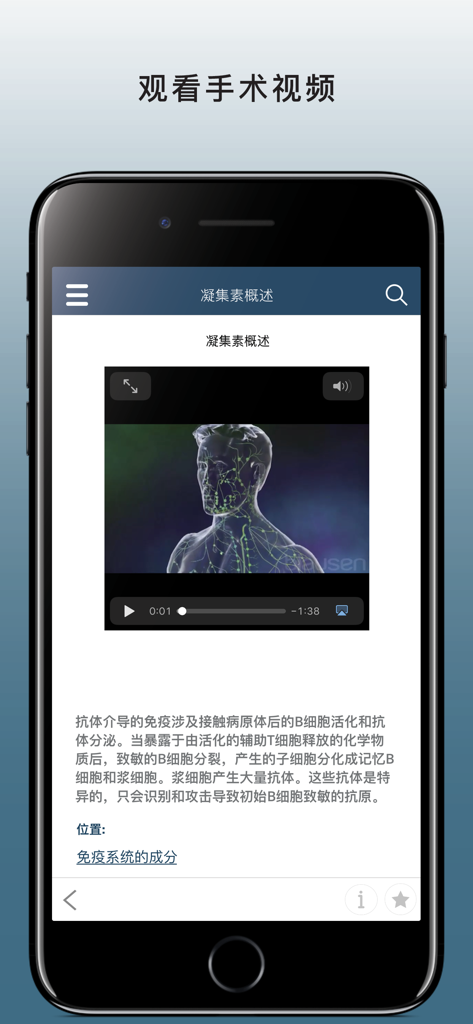Smartphone screen displaying a medical educational video about the lymphatic system in the Merck Manual Professional Chinese app.