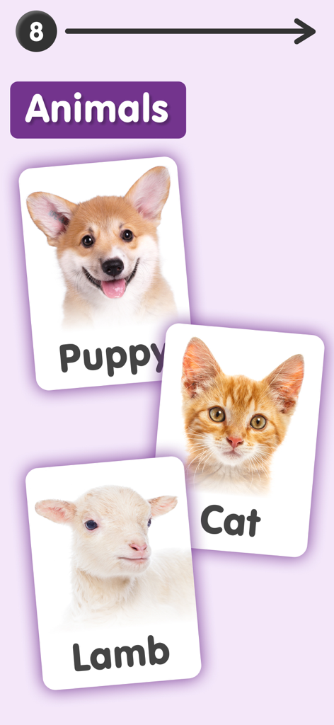Educational flashcards for kids showing pictures and names of a puppy, cat, and lamb