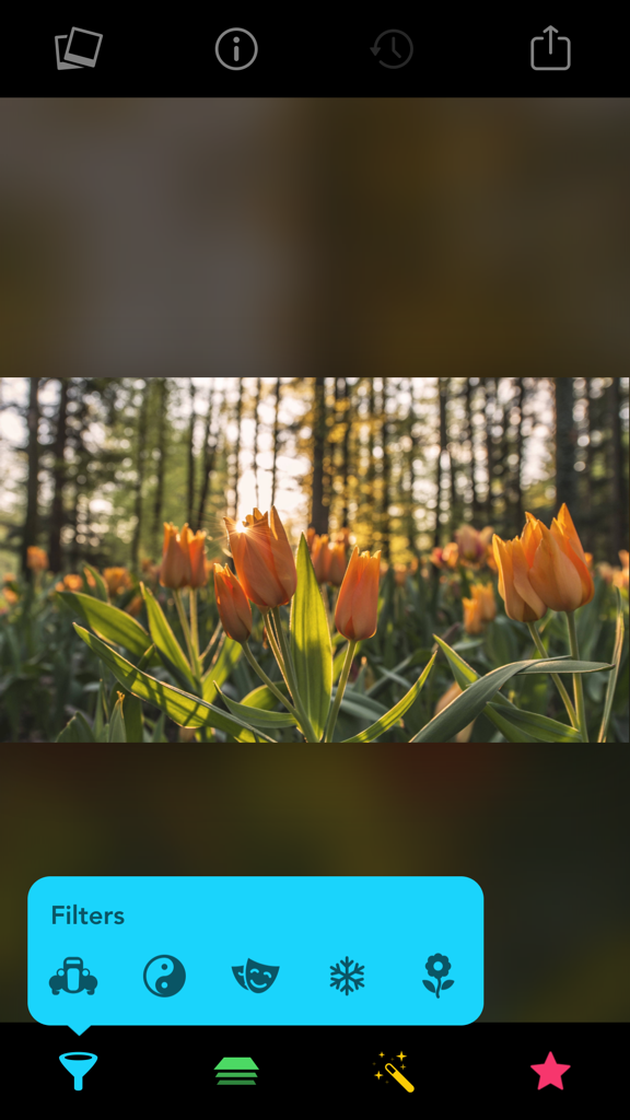 Filters for iPhone and iPad - Interfaz de edición de fotos que muestra categorías de filtros sobre una imagen de tulipanes naranjas en un bosque