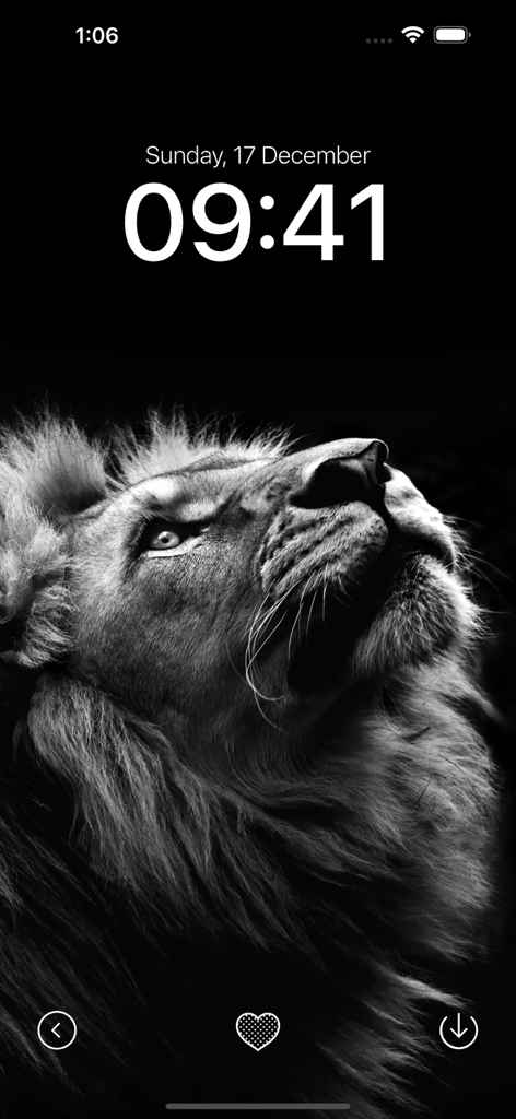 Black Wallpaper App - Close up black and white lion wallpaper on an iPhone lock screen preview