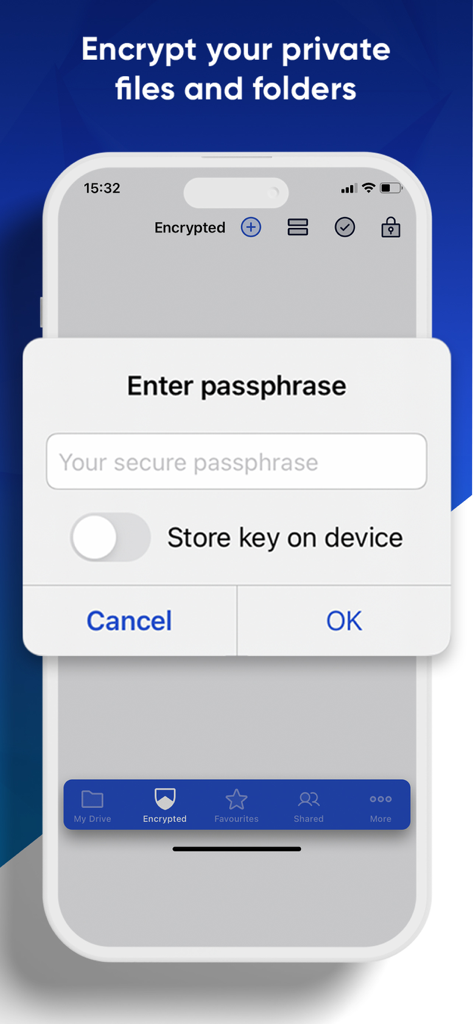 Icedrive – Cloud Storage - Icedrive app interface showing an enter passphrase prompt for encrypted private files and folders