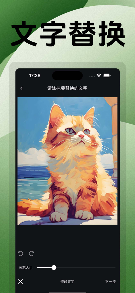 p图改字 - Interfaz de la aplicación de edición de texto de fotos p图改字 que muestra la función de reemplazo de texto utilizada en una imagen de un gato.