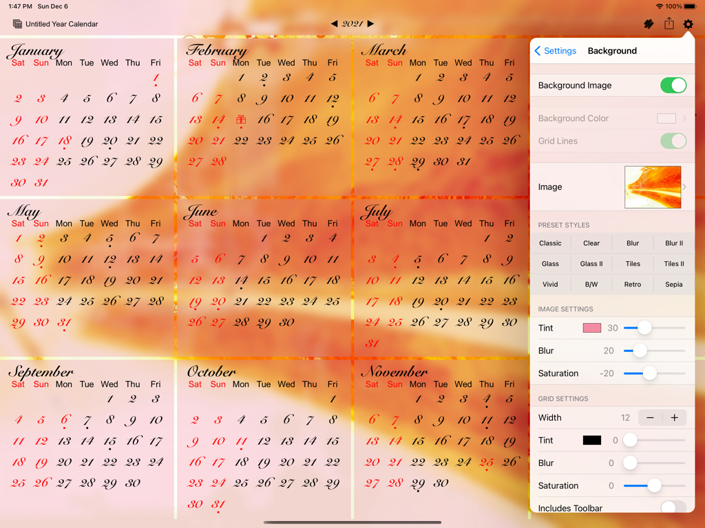 All-in-One Year Calendar Pro - iPad app interface showing a year calendar view with a custom background image and appearance settings menu