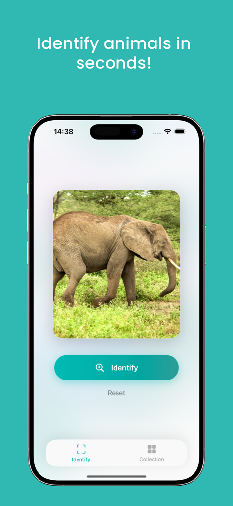 Animal AI - animal identifier - Smartphone mostrando a interface do aplicativo Animal AI com uma foto de um elefante e um botão de identificação