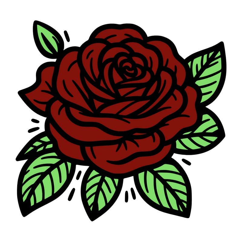 beautiful rose