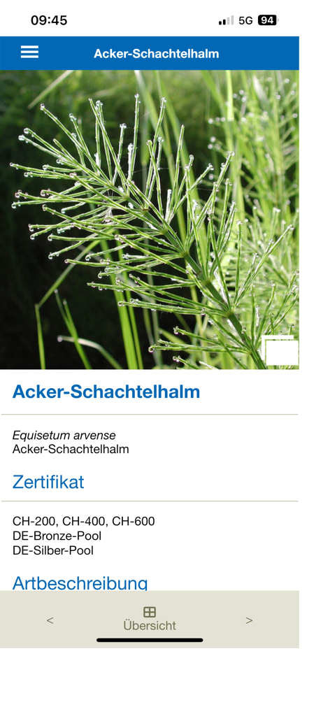 Feldbotanik 식물학 앱의 Equisetum arvense 종 프로필로, 인증 수준과 식물학적 세부 정보가 표시됩니다.