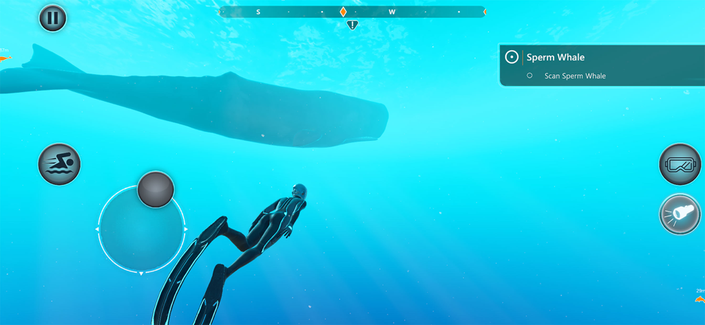 Beyond Blue - Captura de tela do jogo mostrando um mergulhador nadando perto de uma grande baleia cachalote no jogo de exploração subaquática Beyond Blue.