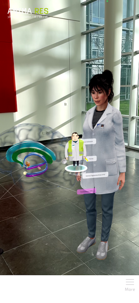 仮想医療教育者とともに、扁桃体と海馬のラベルが付いた人間の脳の拡張現実ディスプレイ。