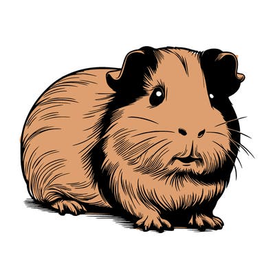 guinea pig realistic