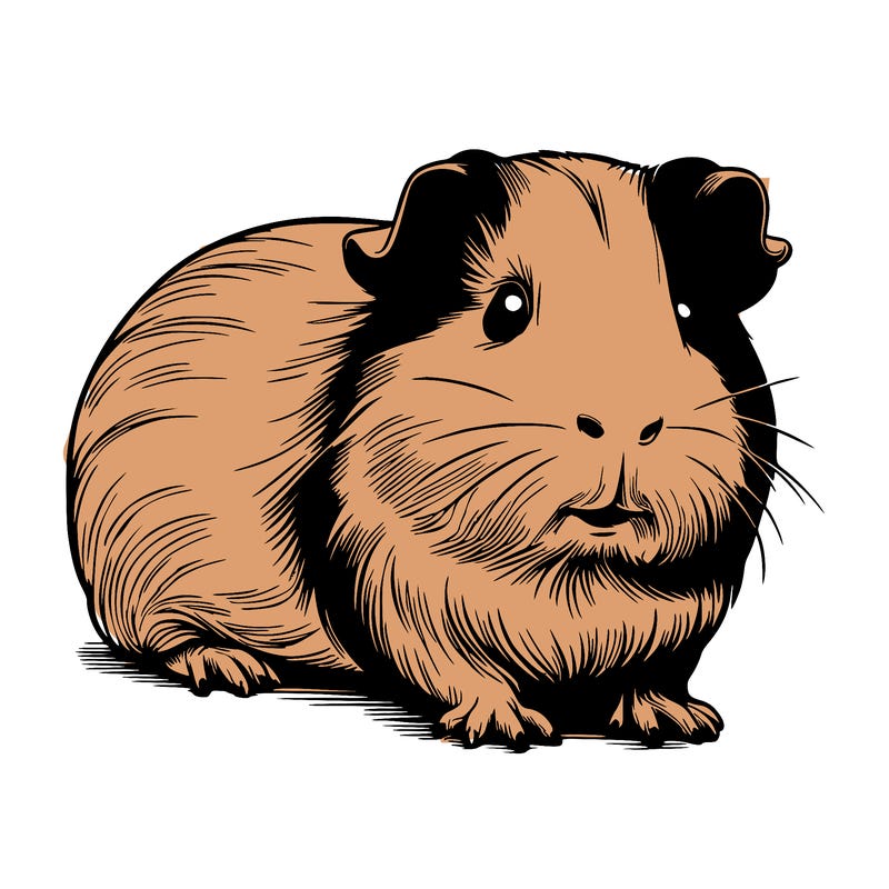 guinea pig realistic