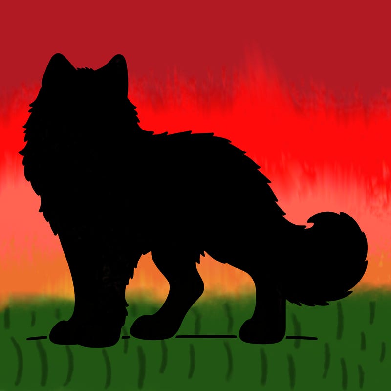 wolf