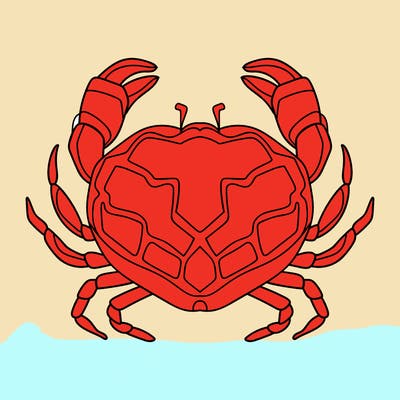 animals_16