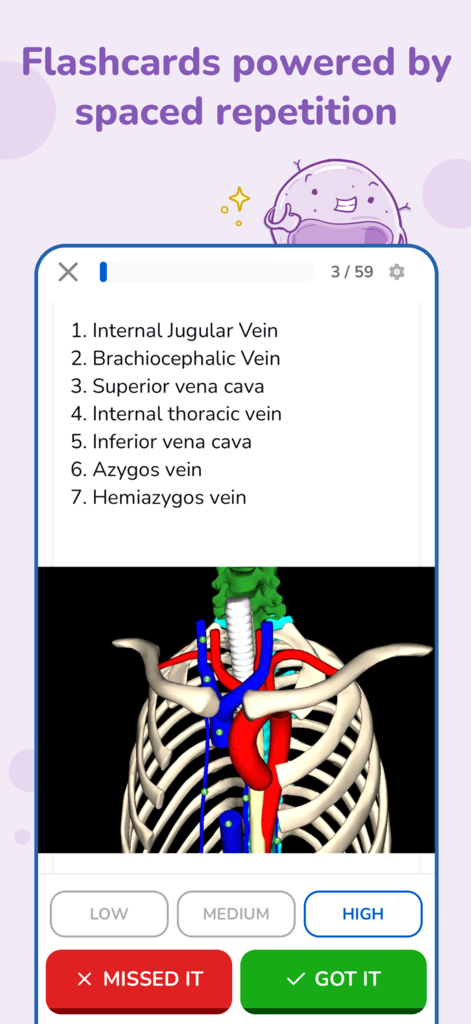 Osmosis医学部学習アプリでの解剖学フラッシュカードインターフェース。間隔反復ボタンが特徴。