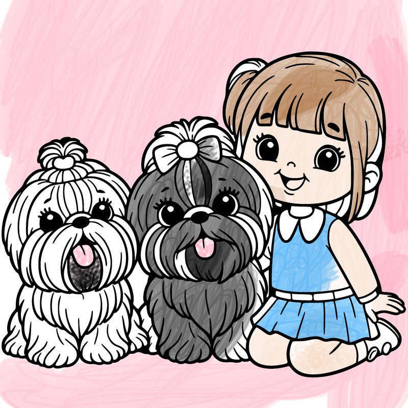 two shih tzus and a little girl