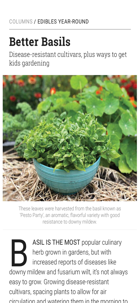 A digital magazine article about growing disease resistant basil varieties in the Horticulture Magazine app