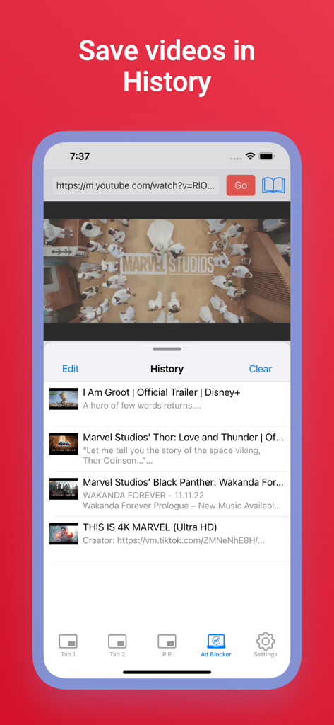 Music Video Player with PiP - Mobile app interface of TubePiP displaying a history of played videos and a video player on top