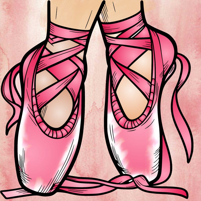 ballet shoes