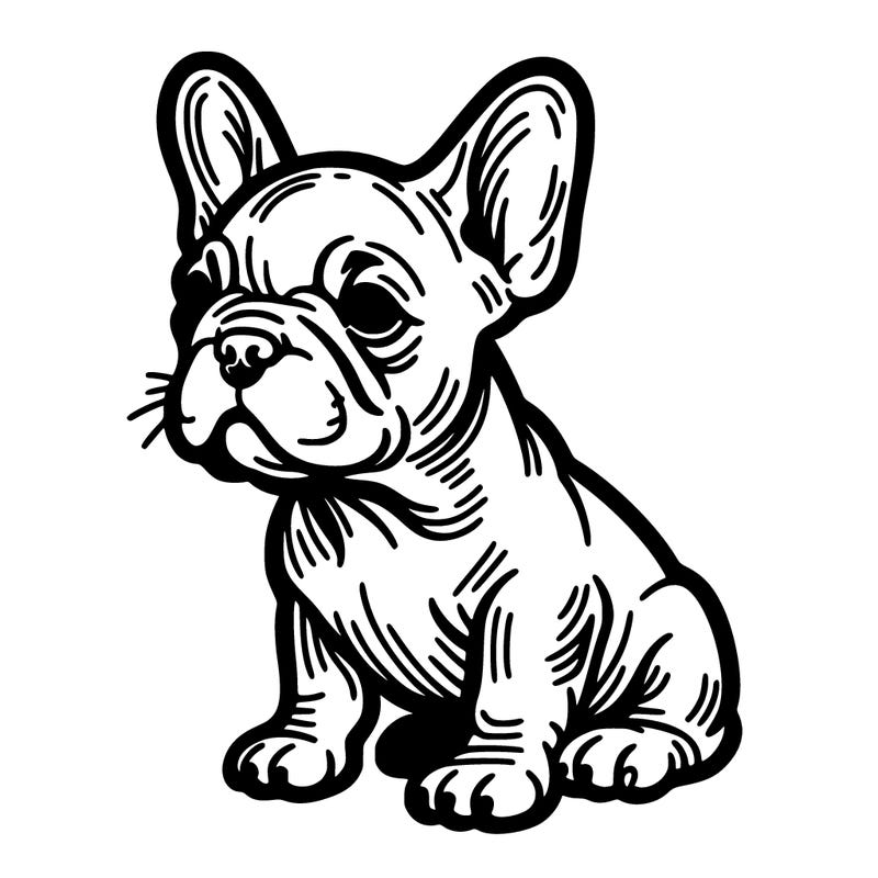 french bulldog
