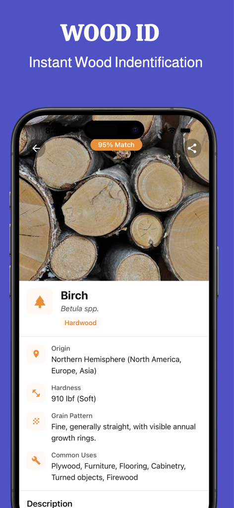 Wood identifier - Wood ID - Smartphone display of the Wood ID app identifying birch wood with technical data and 95 percent match