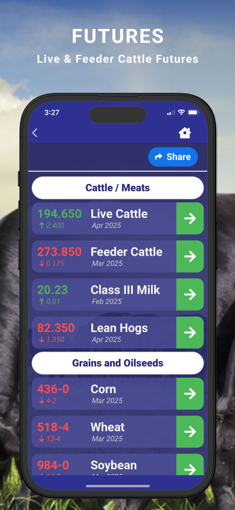Cattle Market Mobile - Cattle Market Mobile app screen displaying live cattle and feeder cattle futures prices along with grain market data