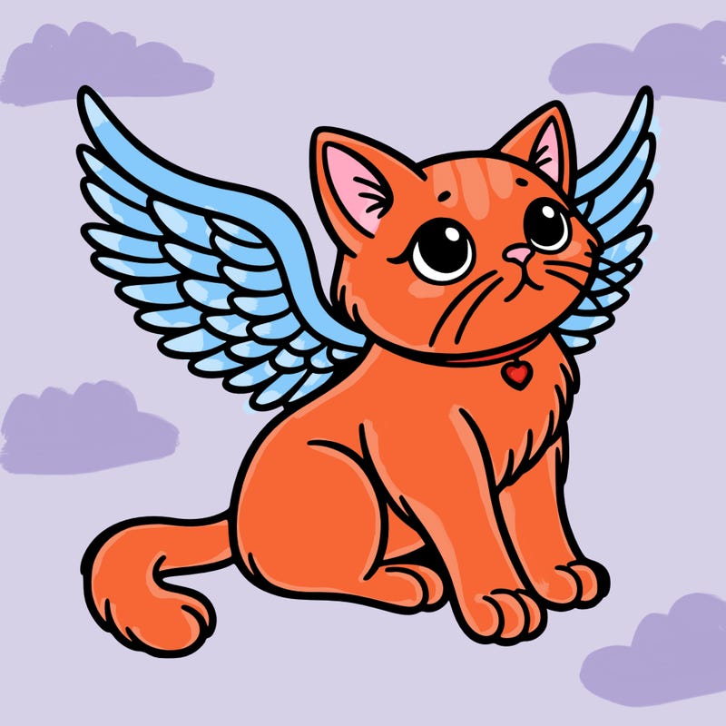 cat with wings
