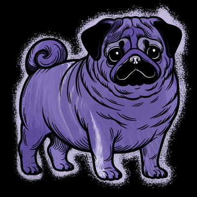pug