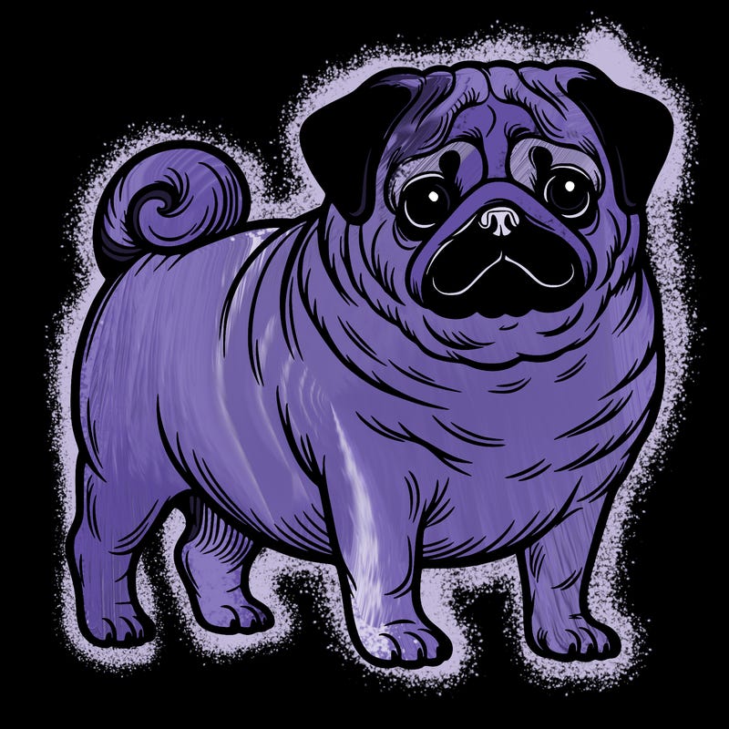 pug