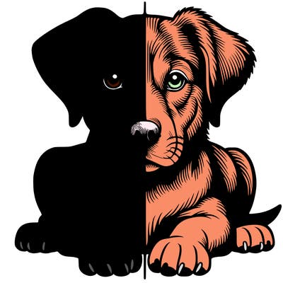 realistic dog split picture