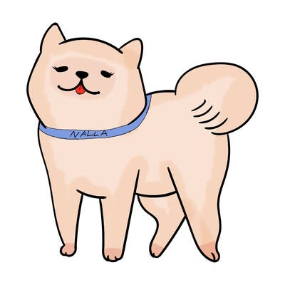 animals_29