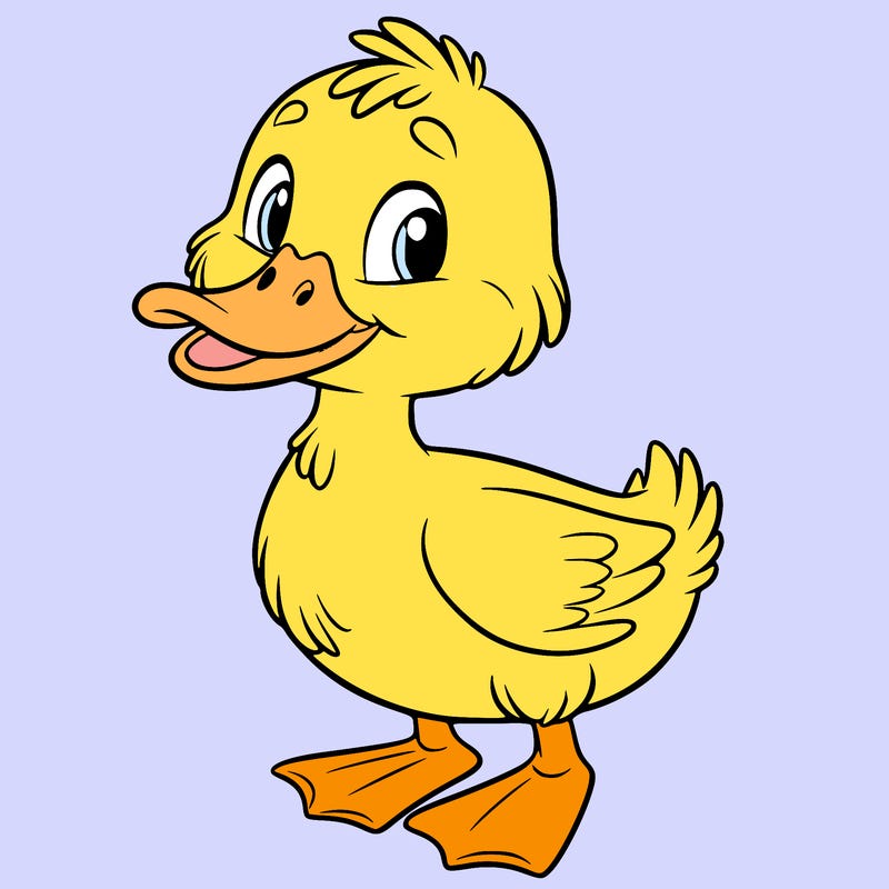 duck